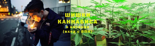 индика Абинск