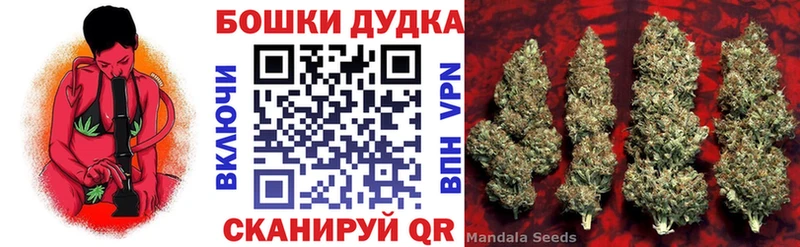 Шишки марихуана гибрид  Краснозаводск 